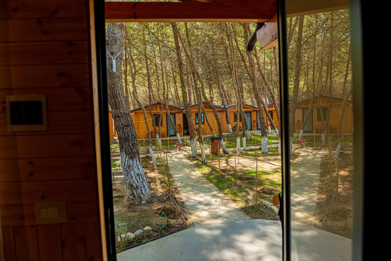 Ecuador Resort Zvernec ภายนอก รูปภาพ