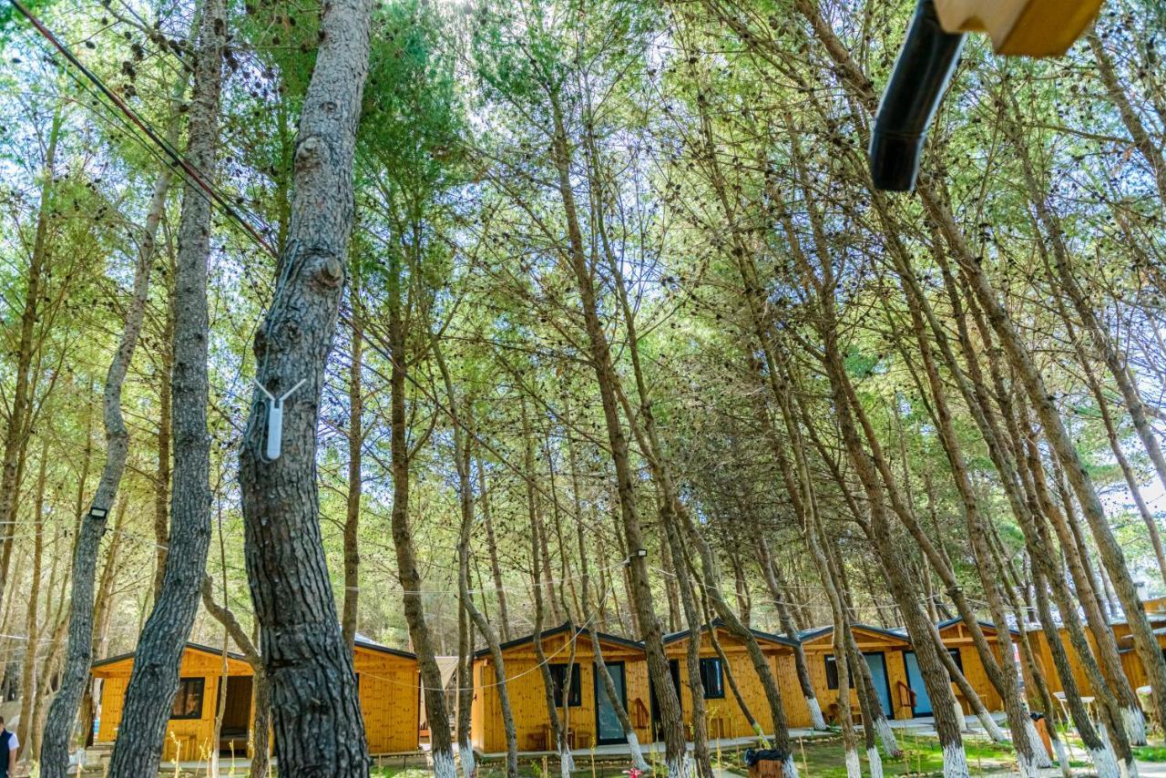 Ecuador Resort Zvernec ภายนอก รูปภาพ