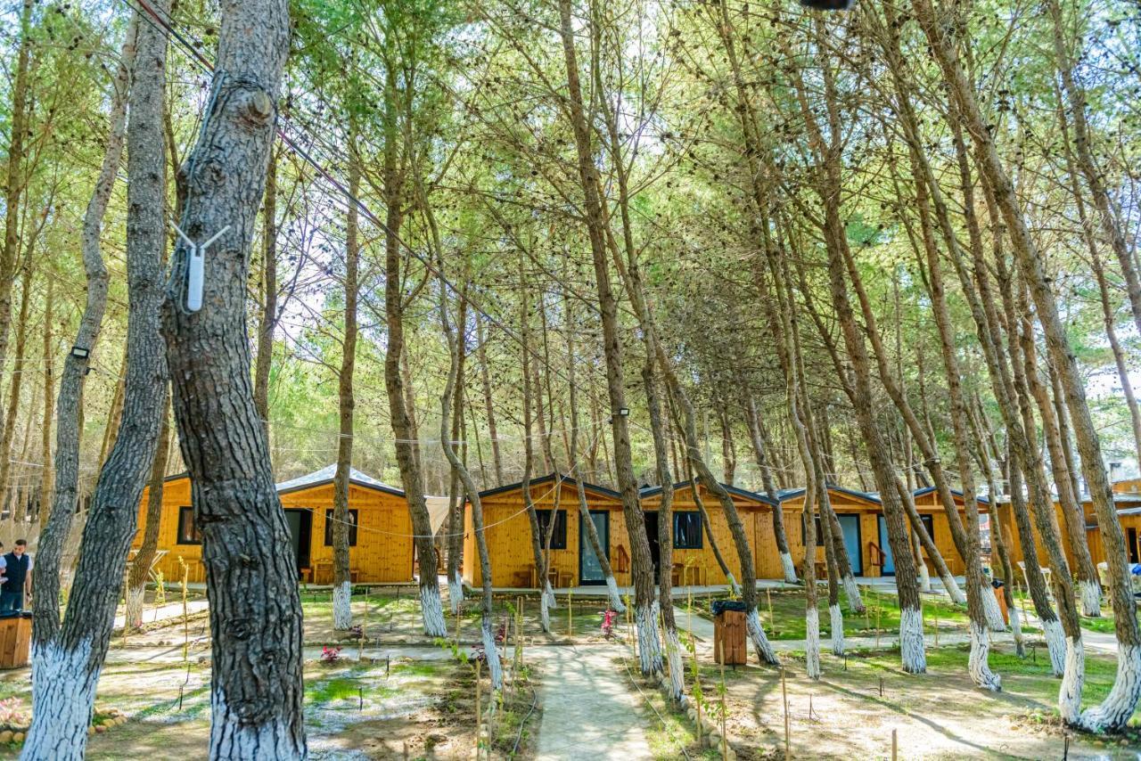 Ecuador Resort Zvernec ภายนอก รูปภาพ